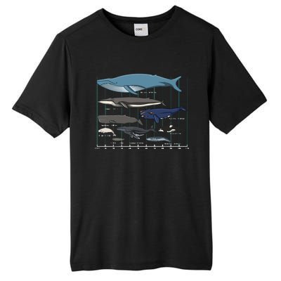 Types Of Whales Huge Whale Tall Fusion ChromaSoft Performance T-Shirt