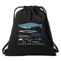 Types Of Whales Huge Whale Drawstring Bag