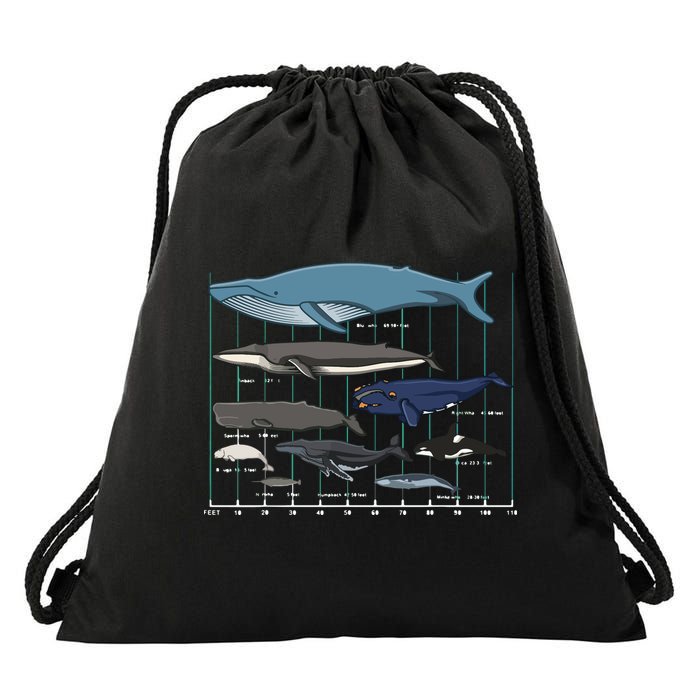 Types Of Whales Huge Whale Drawstring Bag