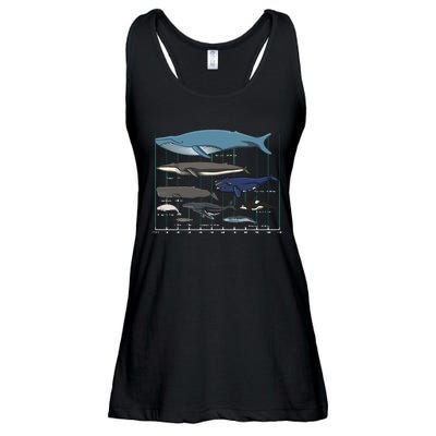 Types Of Whales Huge Whale Ladies Essential Flowy Tank