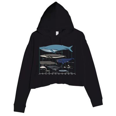 Types Of Whales Huge Whale Crop Fleece Hoodie