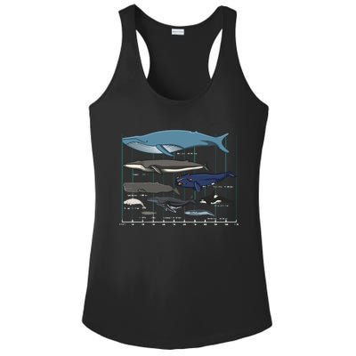 Types Of Whales Huge Whale Ladies PosiCharge Competitor Racerback Tank