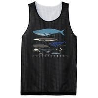 Types Of Whales Huge Whale Mesh Reversible Basketball Jersey Tank