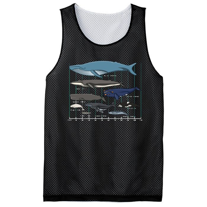 Types Of Whales Huge Whale Mesh Reversible Basketball Jersey Tank