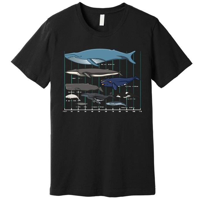 Types Of Whales Huge Whale Premium T-Shirt