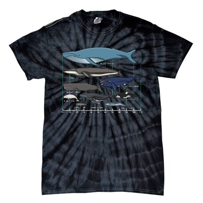 Types Of Whales Huge Whale Tie-Dye T-Shirt