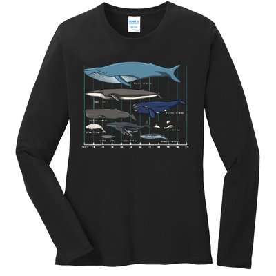 Types Of Whales Huge Whale Ladies Long Sleeve Shirt