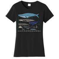 Types Of Whales Huge Whale Women's T-Shirt