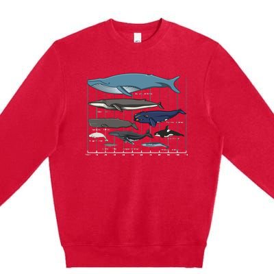 Types Of Whales Huge Whale Premium Crewneck Sweatshirt