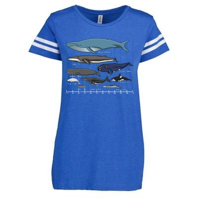 Types Of Whales Huge Whale Enza Ladies Jersey Football T-Shirt