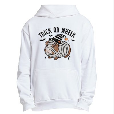 Trick Or Wheek Halloween Guinea Pig Urban Pullover Hoodie