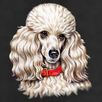 Toy Poodle Cool Comfort Performance Bucket Hat