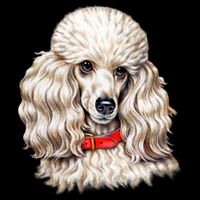 Toy Poodle Baby Bodysuit