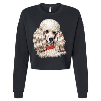Toy Poodle Cropped Pullover Crew