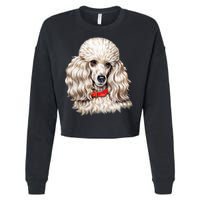 Toy Poodle Cropped Pullover Crew