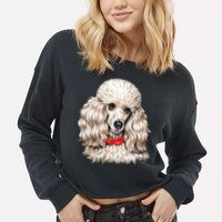 Toy Poodle Cropped Pullover Crew