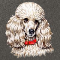 Toy Poodle Cotton Canvas Backpack