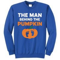 The Person Behind The Pumpkin Halloween Dad Reveal Gift Sweatshirt