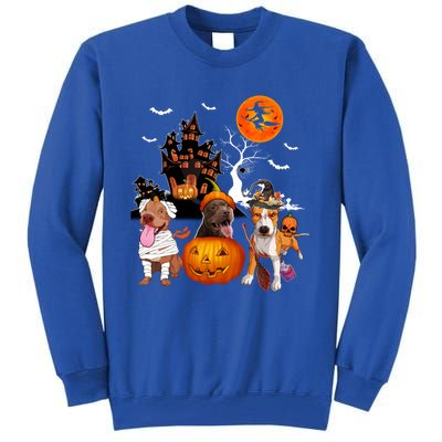 Three Pit Bulls Halloween Mummy Scary Witch With Pumpkins Cute Gift Tall Sweatshirt