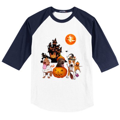 Three Pit Bulls Halloween Mummy Scary Witch With Pumpkins Cute Gift Baseball Sleeve Shirt