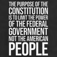 The Purpose Constitution Is Limit Power Of The Federal 7 Panel Mesh Trucker Snapback Hat