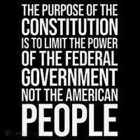 The Purpose Constitution Is Limit Power Of The Federal Tall T-Shirt