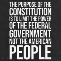 The Purpose Constitution Is Limit Power Of The Federal 11oz C Handle Ceramic Mug
