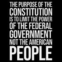 The Purpose Constitution Is Limit Power Of The Federal Visor