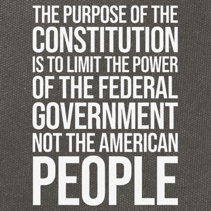 The Purpose Constitution Is Limit Power Of The Federal Cotton Canvas Backpack