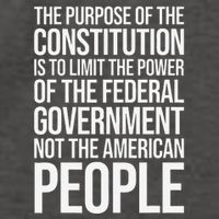 The Purpose Constitution Is Limit Power Of The Federal Vector Backpack