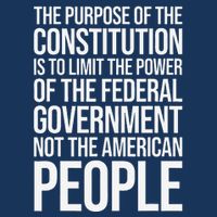 The Purpose Constitution Is Limit Power Of The Federal Infant Baby Jersey Bodysuit