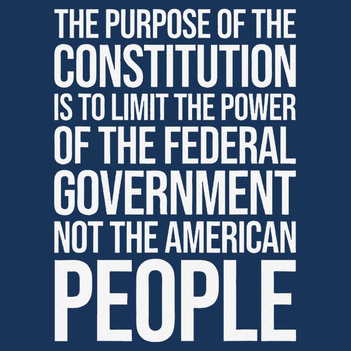 The Purpose Constitution Is Limit Power Of The Federal Infant Baby Jersey Bodysuit