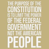 The Purpose Constitution Is Limit Power Of The Federal T-Shirt