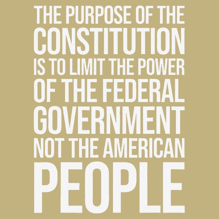 The Purpose Constitution Is Limit Power Of The Federal Magnet