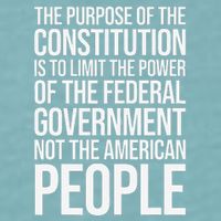The Purpose Constitution Is Limit Power Of The Federal Sueded Cloud Jersey T-Shirt