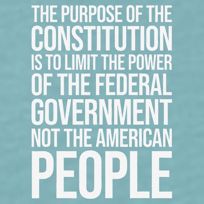 The Purpose Constitution Is Limit Power Of The Federal Sueded Cloud Jersey T-Shirt