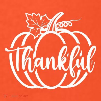 Thankful Pumpkin Cute Cozy T-Shirt