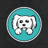 Tiny Paws Dog Logo 11oz C Handle Ceramic Mug