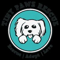Tiny Paws Dog Logo 16 in Basic Backpack