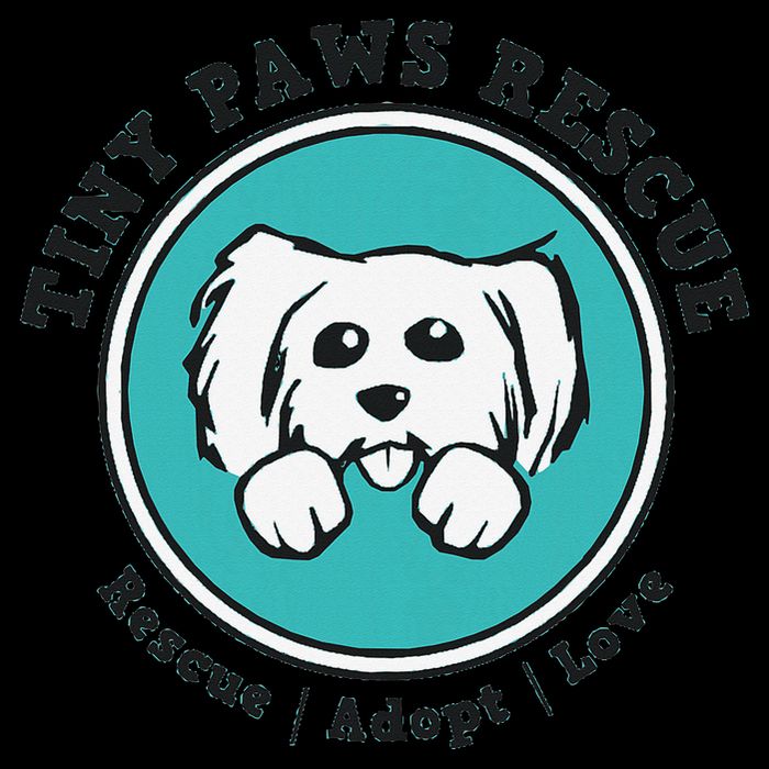 Tiny Paws Dog Logo 16 in Basic Backpack