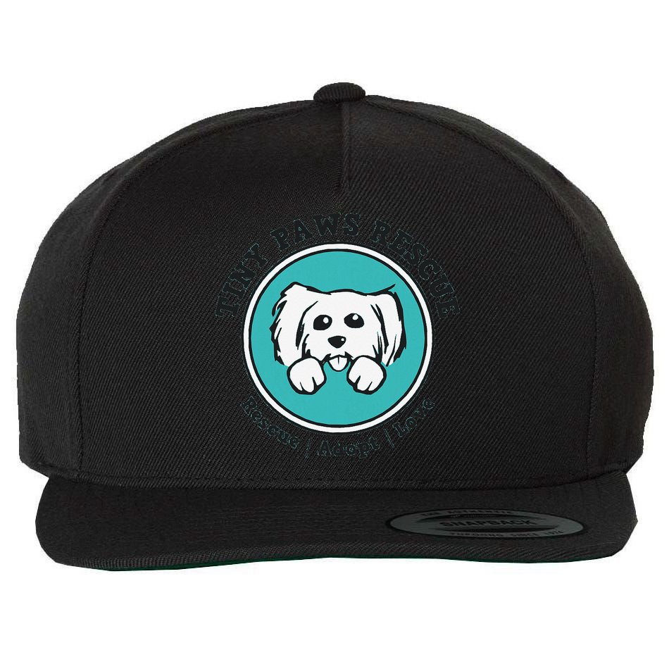 Tiny Paws Dog Logo Wool Snapback Cap