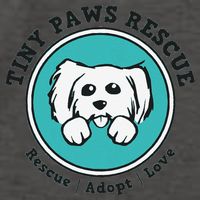 Tiny Paws Dog Logo Vector Backpack