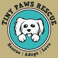Tiny Paws Dog Logo Cooling Performance Crew T-Shirt