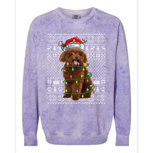 Toy Poodle Dog Lover Santa Hat Ugly Toy Poodle Christmas Long Sleeve Colorblast Crewneck Sweatshirt