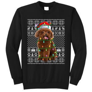 Toy Poodle Dog Lover Santa Hat Ugly Toy Poodle Christmas Long Sleeve Tall Sweatshirt