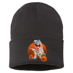 Trex Pumpkin Dinosaur Halloween Mummy Zombie Dino Sustainable Knit Beanie