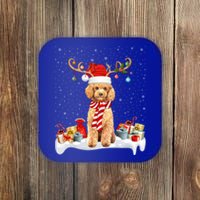 Toy Poodle Dog Xmas Lights Reindeer Toy Poodle Christmas Great Gift Coaster