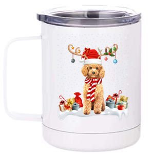 Toy Poodle Dog Xmas Lights Reindeer Toy Poodle Christmas Great Gift 12 oz Stainless Steel Tumbler Cup