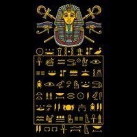 Tut Pharaoh Egyptian Hieroglyphic Letters Symbols King Youth Performance Sprint T-Shirt