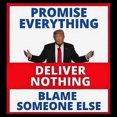Trump Promise Everything Deliver Nothing Blame Someone Else T-Shirt